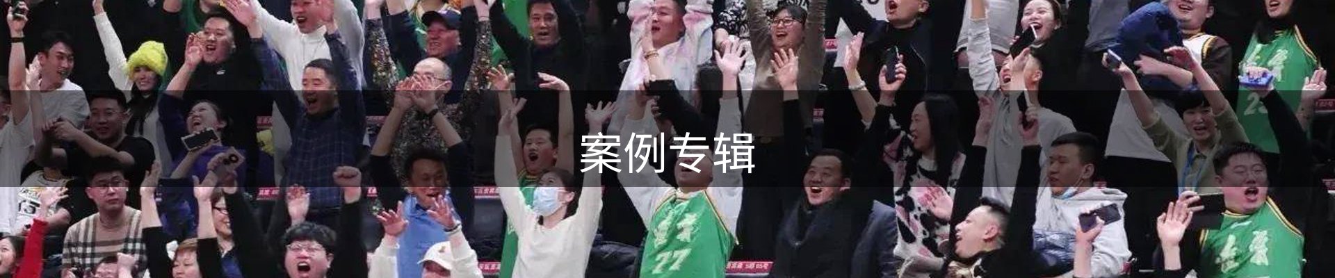 案例专辑